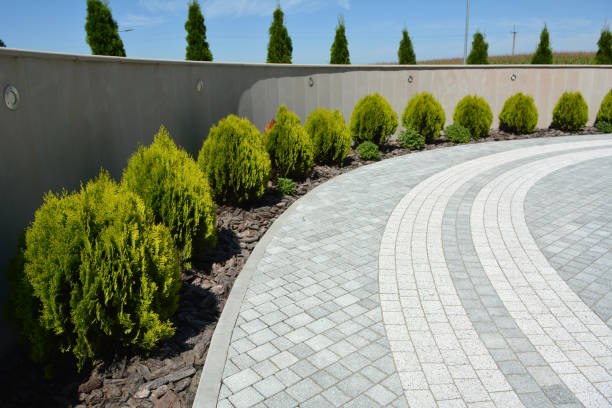 Reasons to Select Us for Your Driveway Paving Requirements in Whitwell, TN